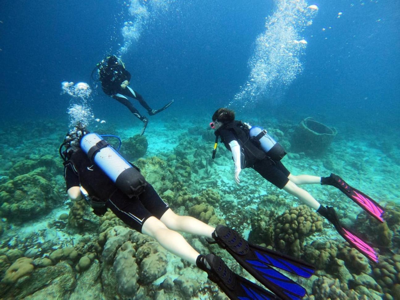 Tropical Divers Resort Кралендижк Екстериор снимка