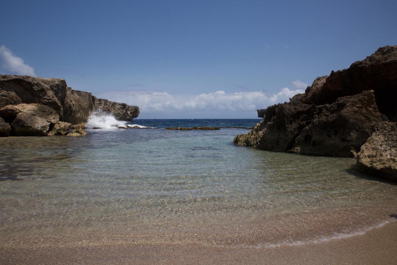 Tropical Divers Resort Кралендижк Екстериор снимка